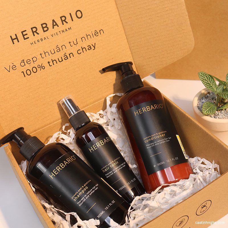 gội xả xịt vỏ bưởi bồ kết Herbario goi-xa-xit vo buoi bo ket herbario