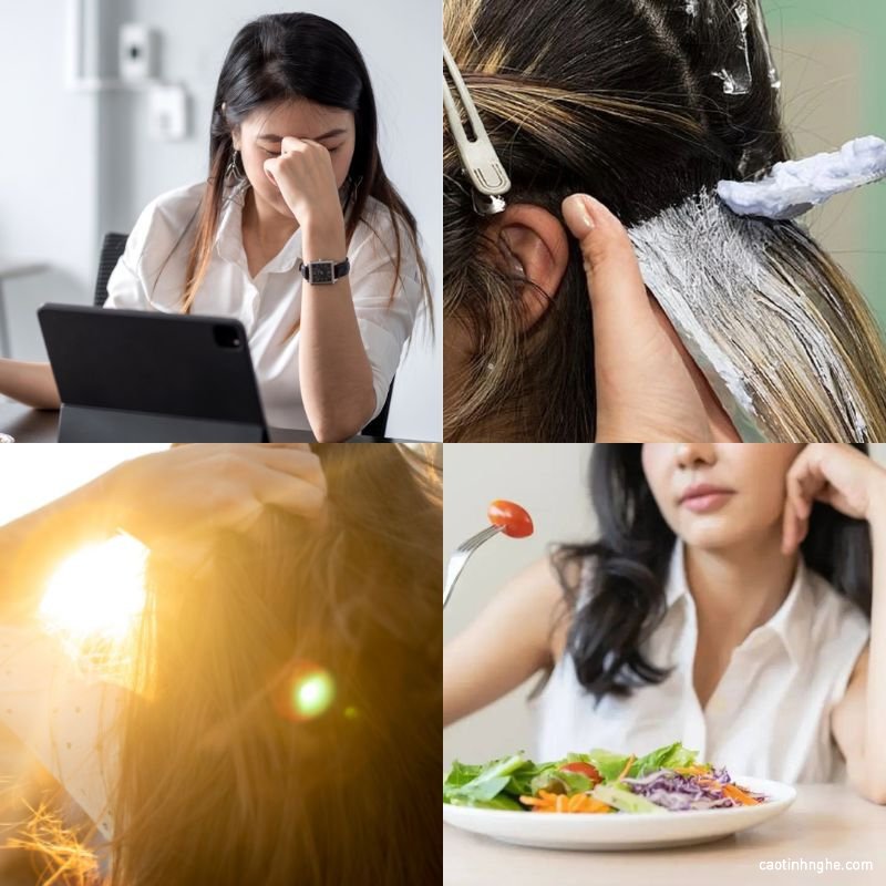 nguyen nhan toc yeu gay rung