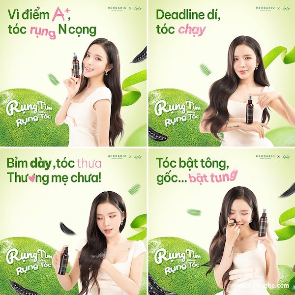 Lyly x Herbario rung tim dung rung toc