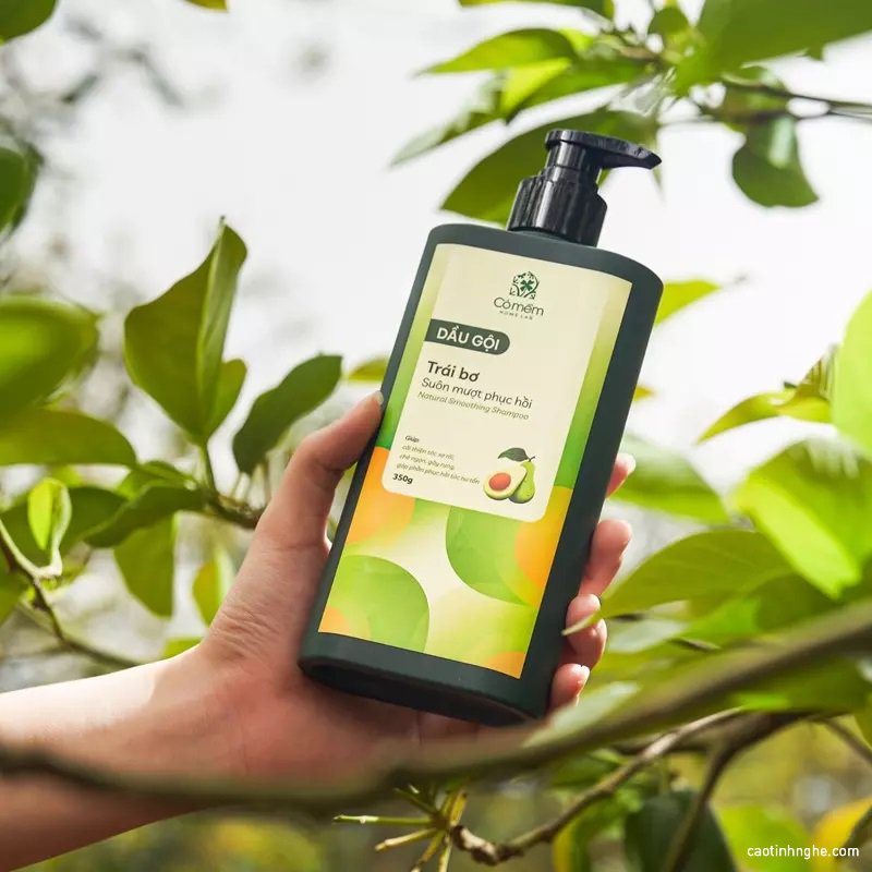 Top 5 dầu gội không silicon được ưa chuộng top 5 dau goi khong silicon duoc ua chuong