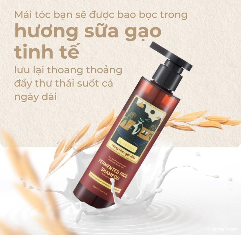 7 loại dầu gội không silicon được ưa chuộng 7 loai dau goi khong silicon duoc ua chuong